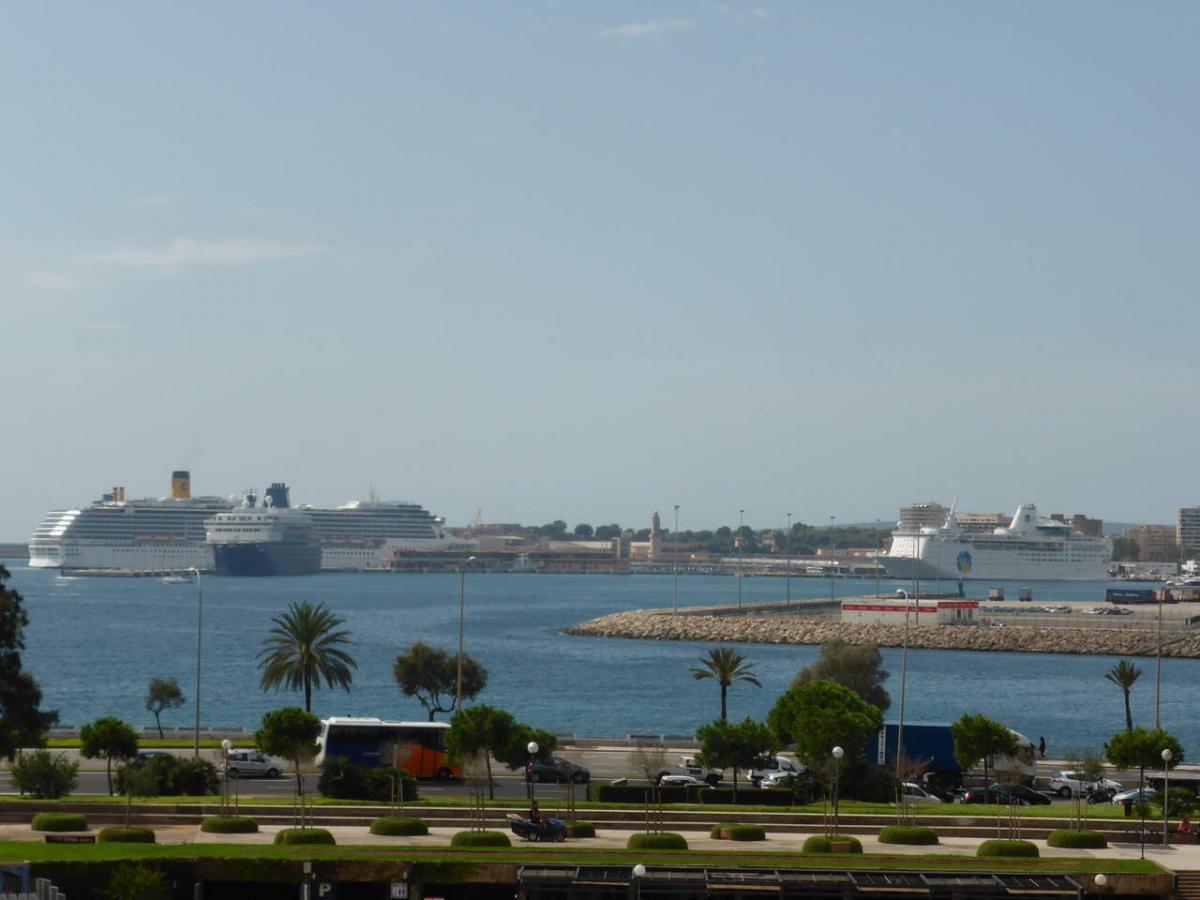 11 Majorka - widok na port w palmie